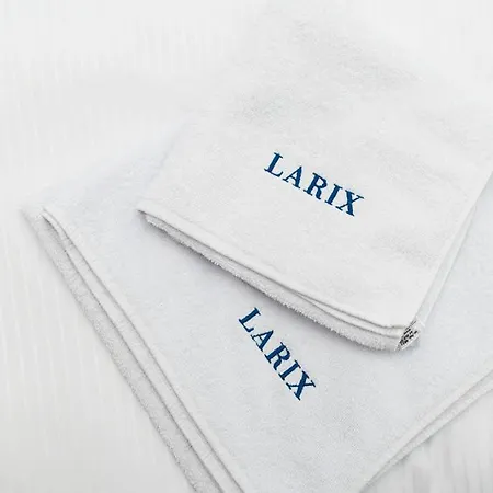 Kwatera prywatna Larix Rewal